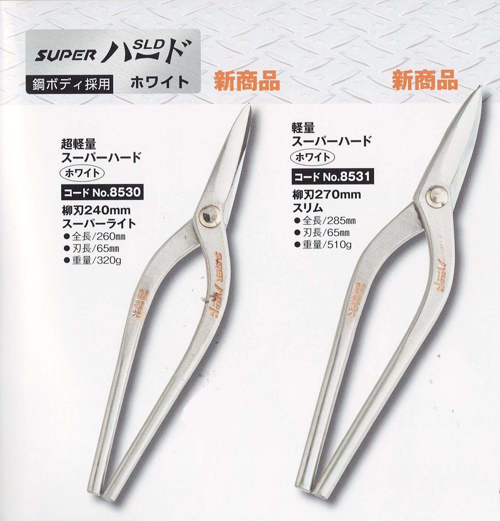 X[p[Cgn240 [No8530]